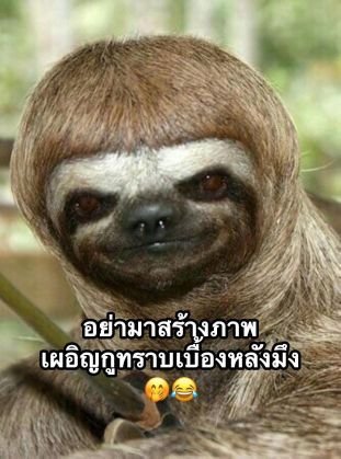 Madf5018Mad's profile picture. 