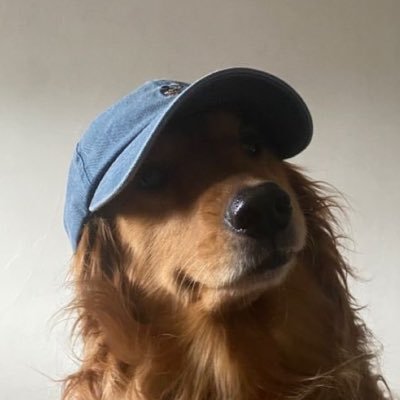 zzzfranklin_'s profile picture. 🌊 carpe diem | 🩷 @N3rol011