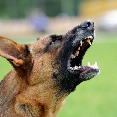 ParadiseXBT____'s profile picture. Only private elite here!! I'll mainly talk about crypto market, price action, analysis, etc. ONLY FOR MY FOLLOWERS MAIN ACCOUNT @ParadiseXBT_