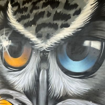 carlossaldu's profile picture. 