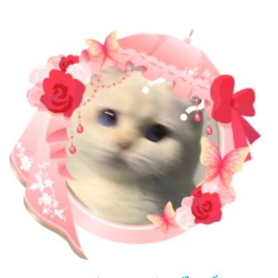 PF170796's profile picture. *DOMUNDI* ★ •รักเด็ก ดูมันดิ ไม่เคยเสียใจเลยสักวัน• ★ ₊พื้นที่ให้˚‧Force B♡̷̷̷ok ‧˚₊ 🦊🍅