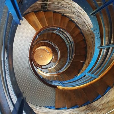 hoffsei's profile picture. 