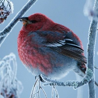 Syedhabeeb01's profile picture. 