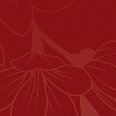 zo8dot_2fey's profile picture. 