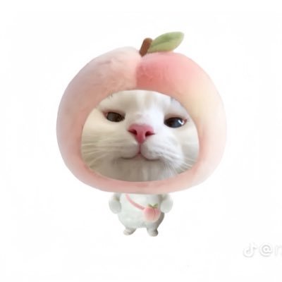 yiingkc's profile picture. 