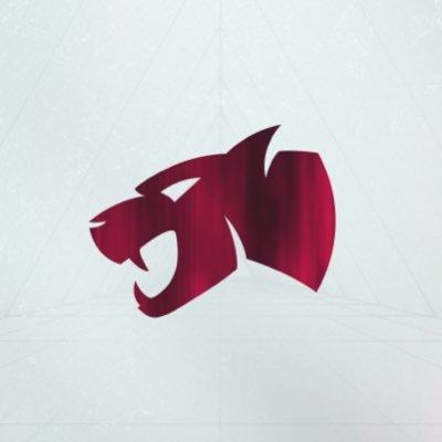 TeamFelinesIN's profile picture. Esports Entity based in APAC Region Competing in BGMI , CODM & Pokémon Unite.        #ForcaFelines | curated by @vandalstudiosin ✉️ contact@teamfelines.in