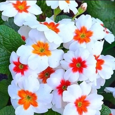 Humble127332's profile picture. Happiness is the only thing on earth.