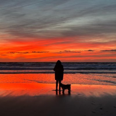 MagptP54700's profile picture. Errar é humano! Assumir o erro é carácter.