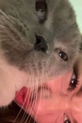 LisaLisa1288837's profile picture. Just a girl who loves gaming 🎮