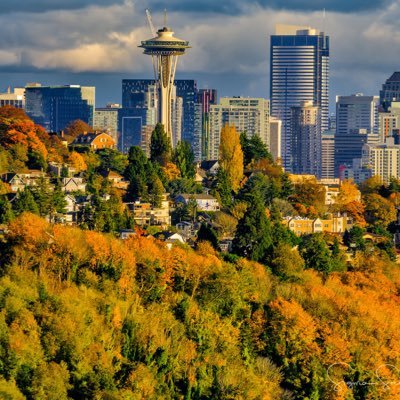 HSSawakening's profile picture. Football fan