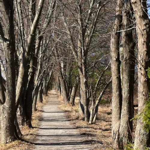 flybites's profile picture. Camping, Hiking, Photography, Cooking Outdoors, Canoeing and anything else outdoors related!