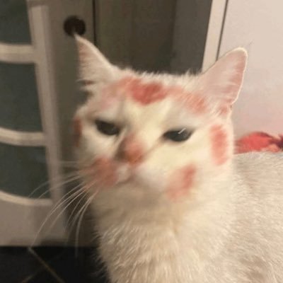 alipipa7's profile picture. 🥀