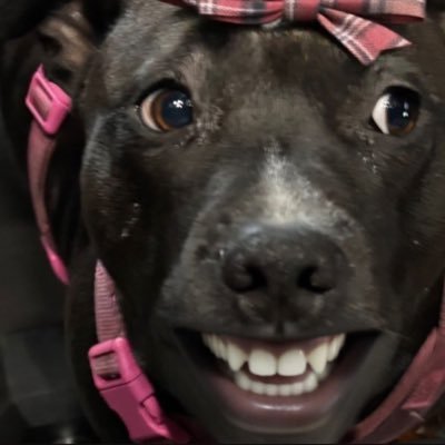 ArtzKing23's profile picture. 