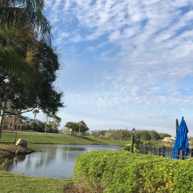 mooohit's profile picture. Complex Situation Amelioration Expert, Inexorable Traveller, Awesome cook, Voracious Reader & writer