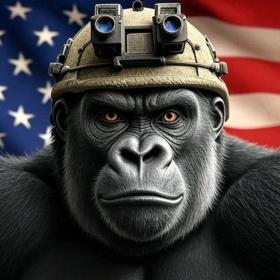 PatrioticApe_'s profile picture. Army Infantry Combat Veteran | Conservative | Christian | 1A | 2A | Jiu-Jitsu | $BTC $HOOW $BLOX $WPAY $CHPY | Trump/ Vance 🇺🇸 🇺🇸 🇺🇸