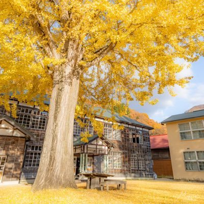 uiriamuzu33's profile picture. 幸せになるために一番大切なのは、人生を楽しむこと。それだけです。夢があるなら、掴み取って、決して手放さないでください。たとえ誰も信じてくれなくても、自分を信じてください！❣️