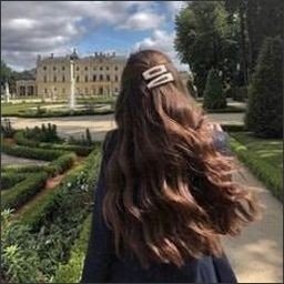 Fabian856056's profile picture. 