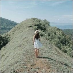 Adela299292's profile picture. 