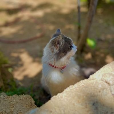 jacobyava337's profile picture. 