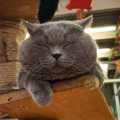 aoidaenne's profile picture. trying to not leave any regret