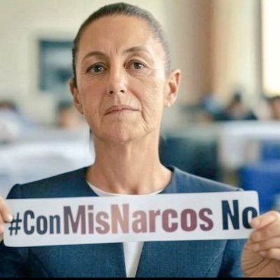 FraudiaShein's profile picture. Primera PRESIRVIENTA y primera TITERESA de México, la marioneta del autócrata macuspano. No molestar, estoy atendiendo las causas. #Parody #Parodia