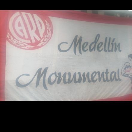 DavidArmero5's profile picture. 