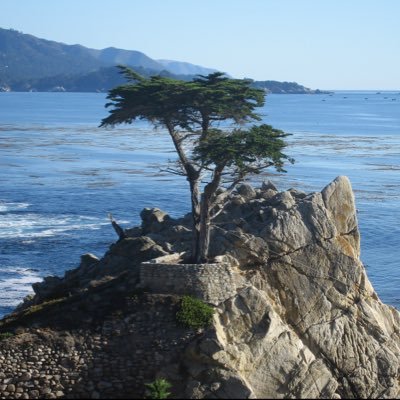 FieldofHistory4's profile picture. Family Office - Waylon Jennings 🐐- @FieldofHistory + @FieldofHistory3 (RIP) - Nationalist/White Power - Catholic - Soldier of Christ