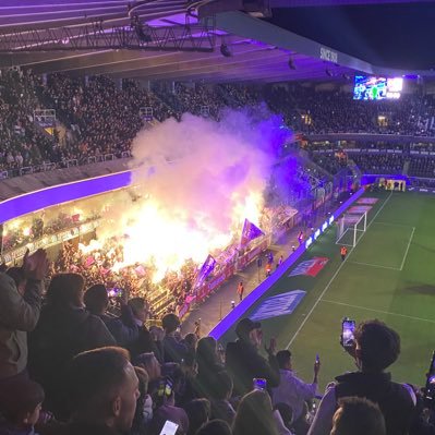 CasCoppens62452's profile picture. Anderlecht 💜🤍