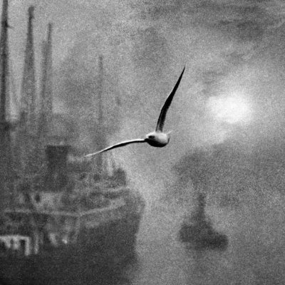 seysmi's profile picture. Görseller bana ait değildir.