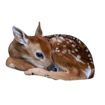 19q89's profile picture. cult leader