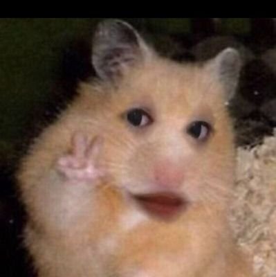 bne0en's profile picture. All about me and  all the prettys girls💅
(DM Girls only)