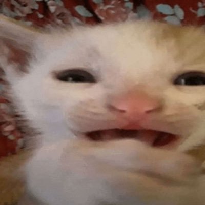 ep1grafff's profile picture. 