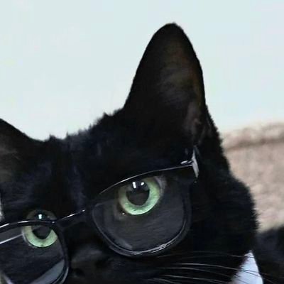 heisseheisse's profile picture. kaliwang-komunista. header by @xuejiye66