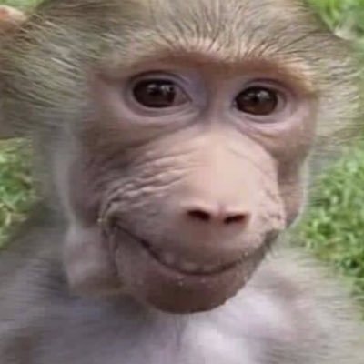 moonpoem2221's profile picture. ੯‧̀͡⬮\ รักพี่ม้าค