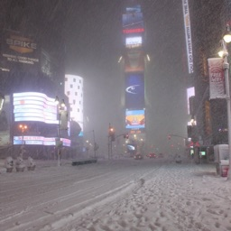 ocylol's profile picture. 