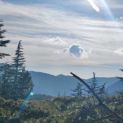 yildirim4414's profile picture. ⚖️⚖️