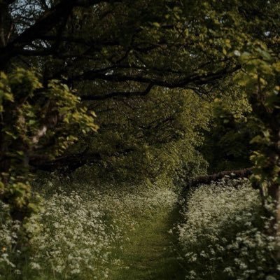 warmthlovee's profile picture. اللهم اجعل والديّ بشرى في جنات النعيم، واجمعهم بها على خير، وامنحها الصبر والسكينة