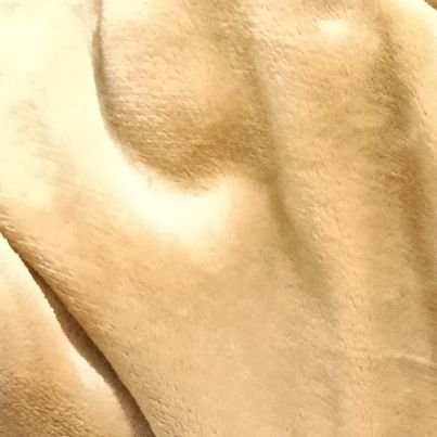 proptraderk's profile picture. 趣味はフィールドワークと人間観察　サウナ　プロップトレード　トレーダー　地政学　真の積極財政