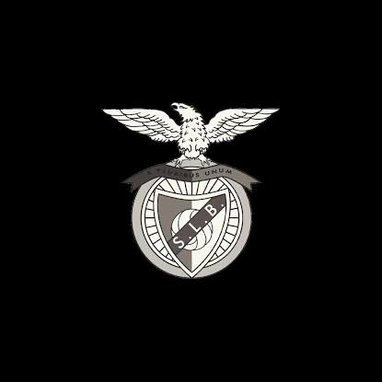 Fernand86867721's profile picture. Mirandelense de alma e coração!!! De esquerda!!! Consumidor nato de livros! Sou Benfiquista do Norte e isso me envaidece. Sou do Benfica e pelo Benfica.