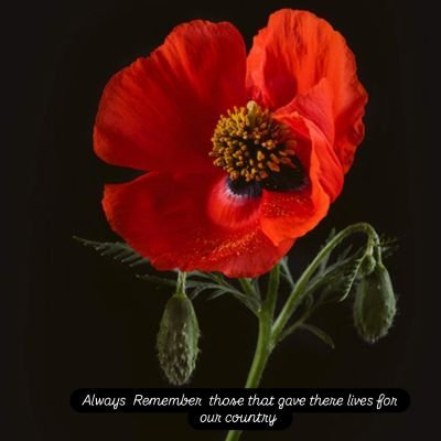 Nancymalatino's profile picture. Always a thoughtful minds