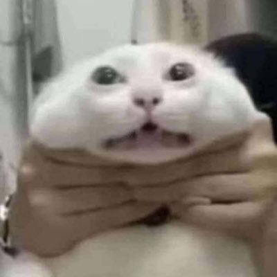 hicastleworld's profile picture. 