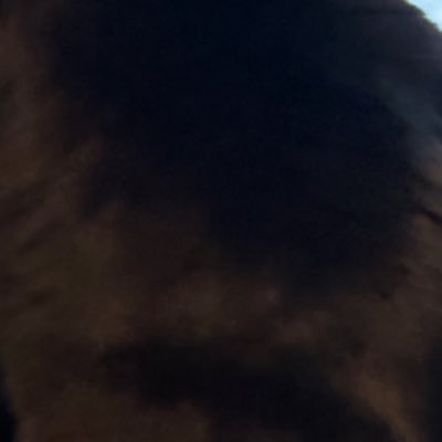 Vipanchika6's profile picture. Thinking and writing about Carcerality and Abolition | PhD Student @historyatpurdue | Founder, Progressive South Asia Collective | Finalist, @rhodes_trust | JNU