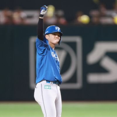 fqic37ACw9wUqUX's profile picture. 北海道日本ハムファイターズファン