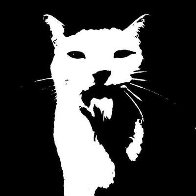 Cloe010909's profile picture. -16y.o. 🇮🇹, she/her,  taken :3
-  traditional artist trying digital 
- moot me i follow back!