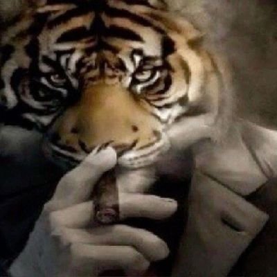 4lllysa's profile picture. the goat