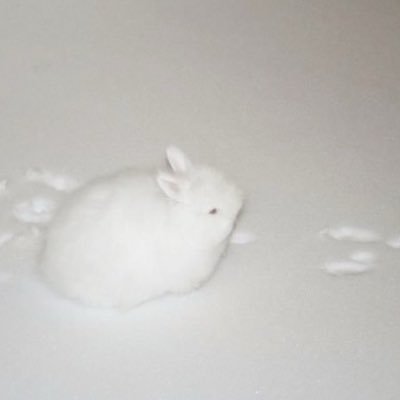 valloveshanta's profile picture. 