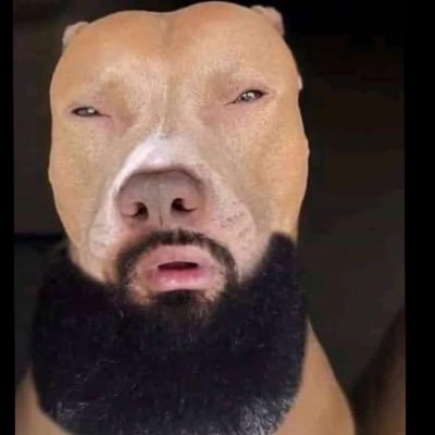 haryston_'s profile picture. felizmente adepto ao São Paulo futebol clube - engenharia cmp