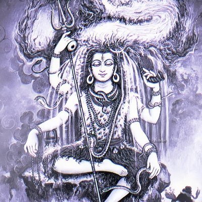 thevseeker's profile picture. Learning