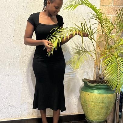 sonyet11242's profile picture. 