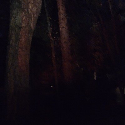 g3m1n1kllr0526's profile picture. "Past the point of no return

The final threshold 

What warm unspoken secrets will we learn?

Beyond the point of no return."